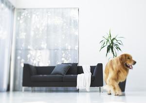 高品質の防水工事を行う業者の選び方