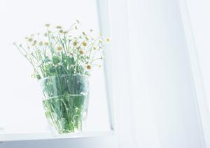 大久保工務店の耐震リフォーム工事